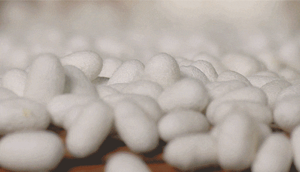 20240902_092934_018.gif