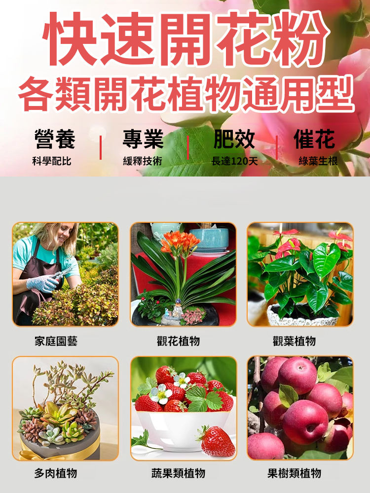 【一匙花開滿盆】快速開花粉