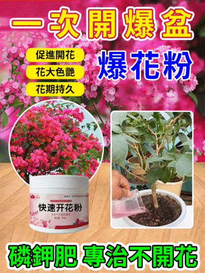 【一匙花開滿盆】快速開花粉