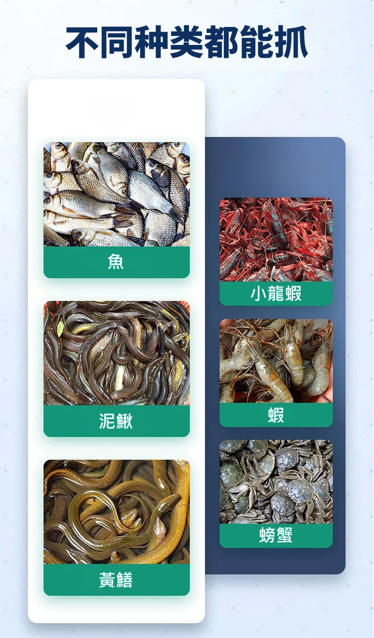 翻译件-HFH-【捕鱼达人】自动折叠加粗捕鱼笼-1194413-系统_04.jpg