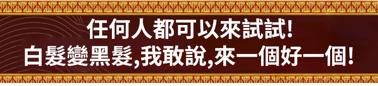 翻译件-SL-黑灵芝人参洗发水-1266651-系统_08.jpg