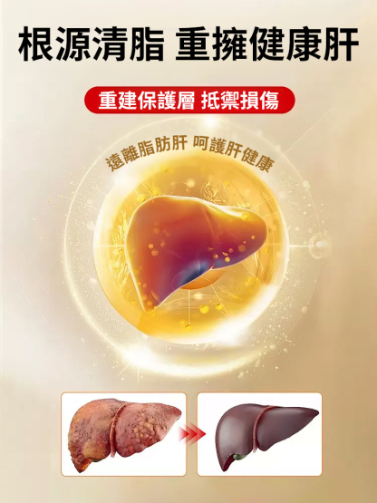 杞菊黃耆決明子片