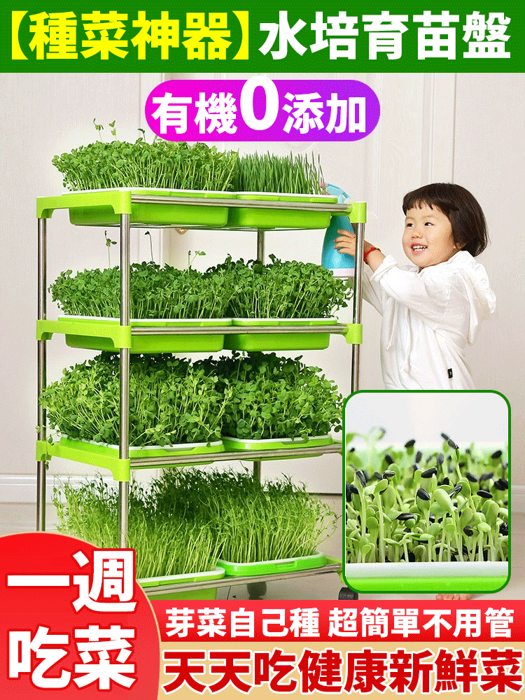 【種菜神器】水培育苗盤