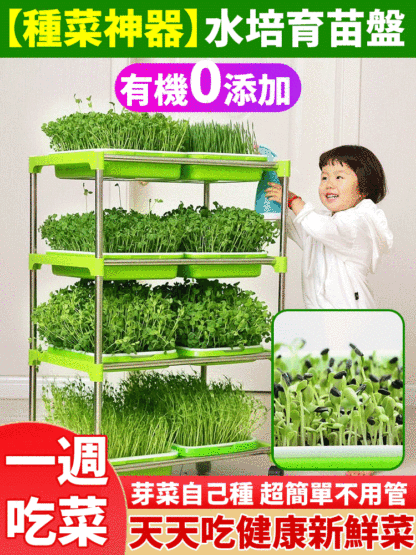 【種菜神器】水培育苗盤