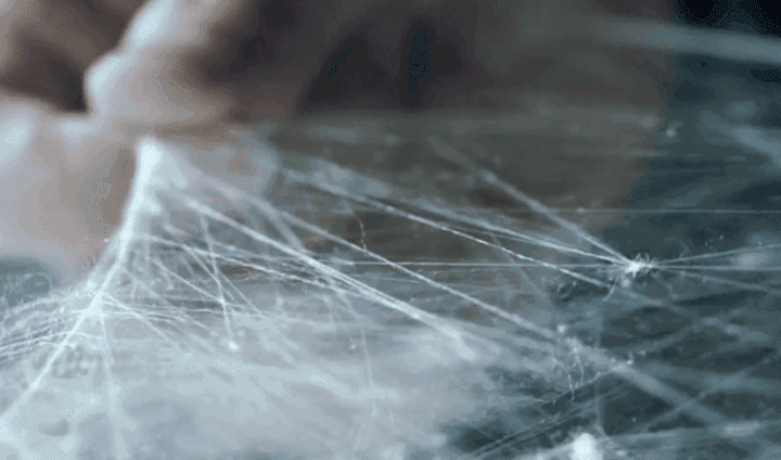xq_17.gif