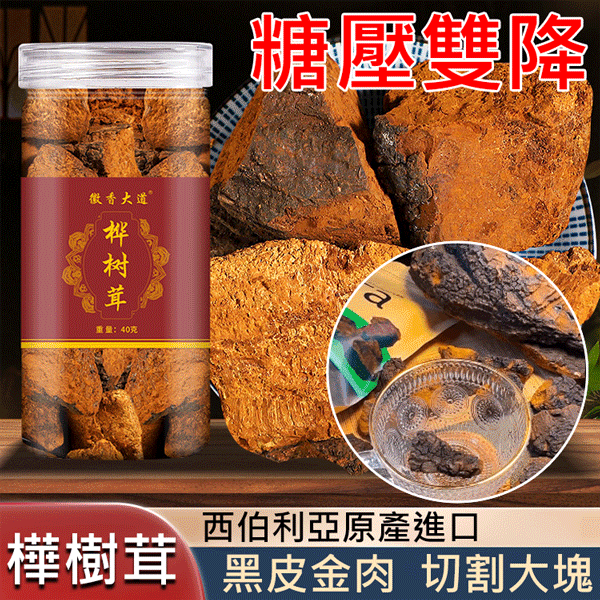 【抗糖降血壓】西伯利亞樺樹茸