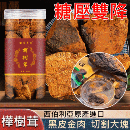 【抗糖降血壓】西伯利亞樺樹茸