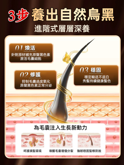 【內調黑髮】固養黑方茶