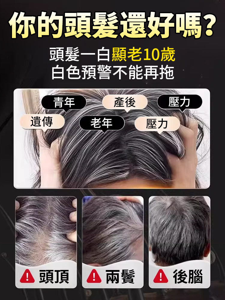 靈芝地黃桑葚烏黑片