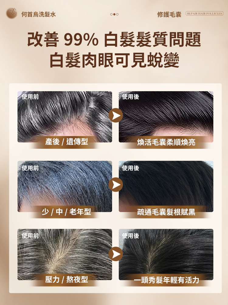 黑靈芝人參洗髮精