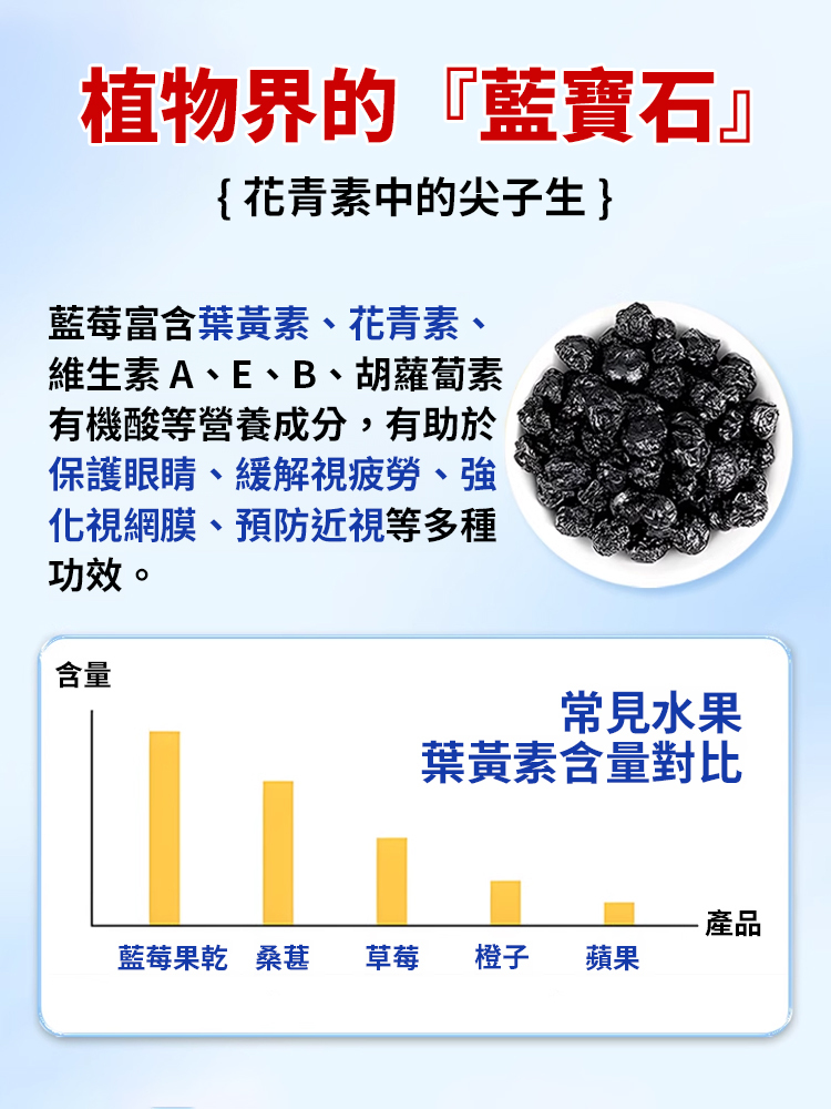 特級無蔗糖藍莓果乾