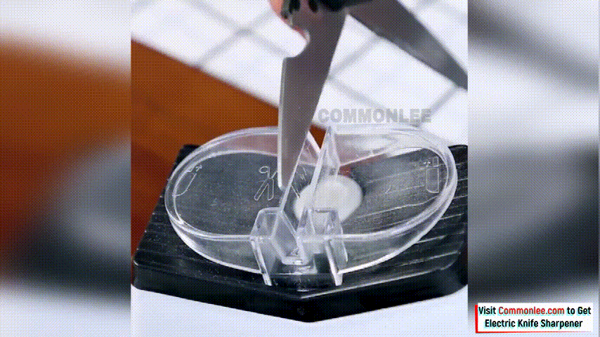 1628499206519938.gif