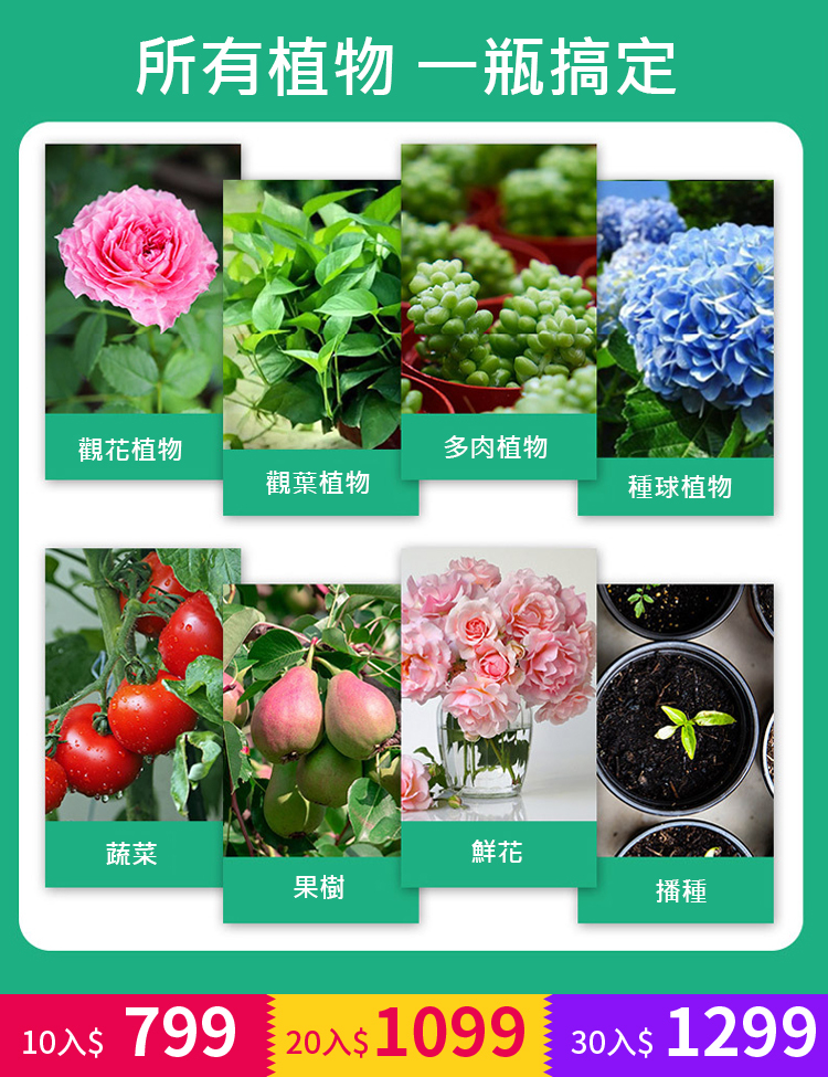 植物生長活力素【濃縮神仙水】