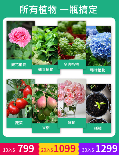 植物生長活力素【濃縮神仙水】