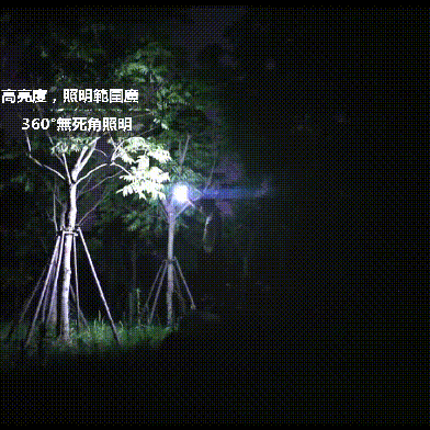 04.gif
