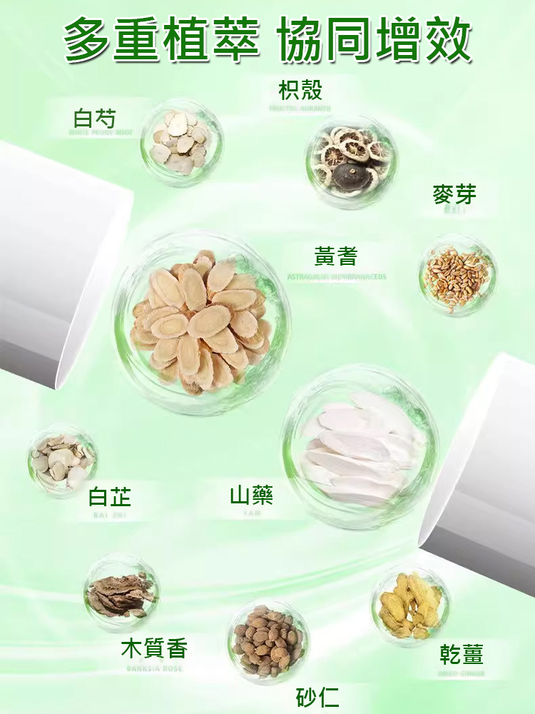 黃耆山藥膠囊