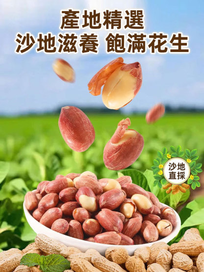 五香黃耆黨參烤花生