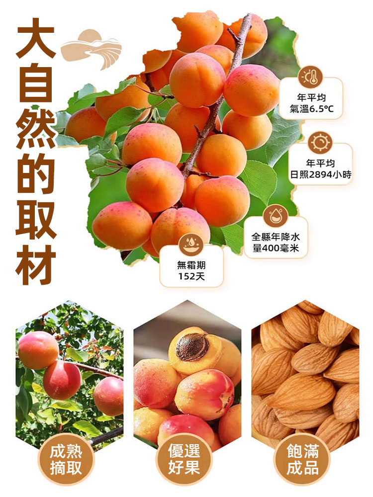 【祛痰止咳】天然大顆粒熟南杏仁