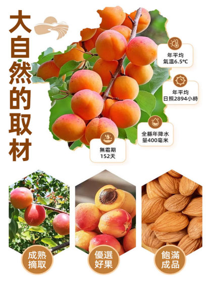 【祛痰止咳】天然大顆粒熟南杏仁