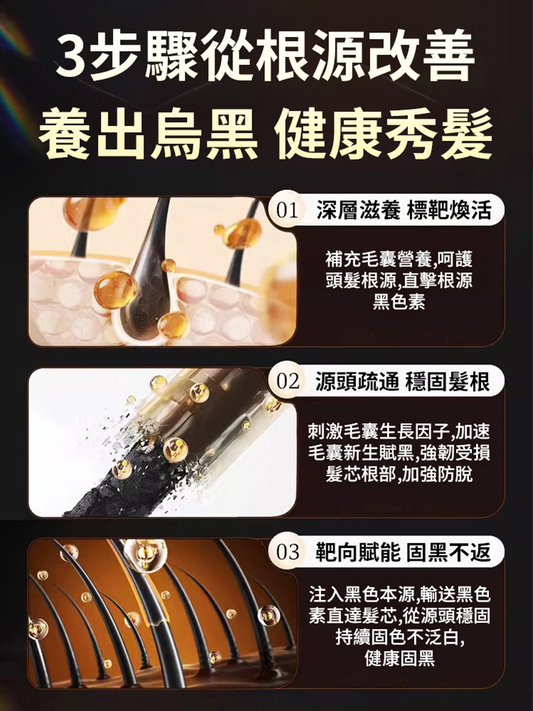 靈芝地黃桑葚烏黑片