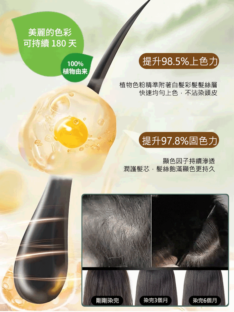 何首烏人蔘純遮白髮染髮劑