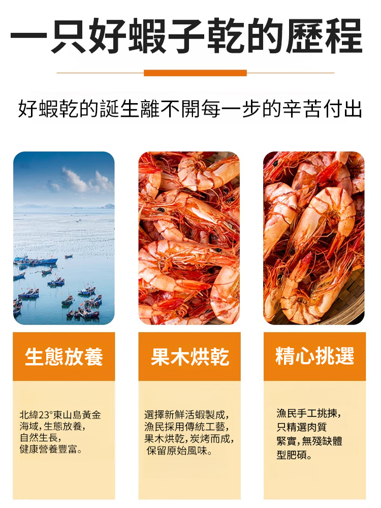 【低脂高蛋白】現烤即食大號九節蝦乾