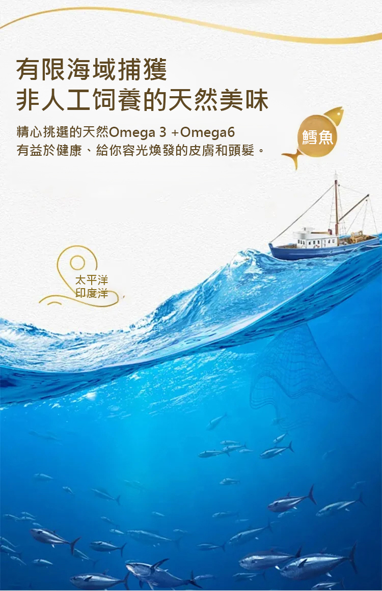 翻译件-SL-手撕即食鳕鱼片-1234522-系统_16.jpg
