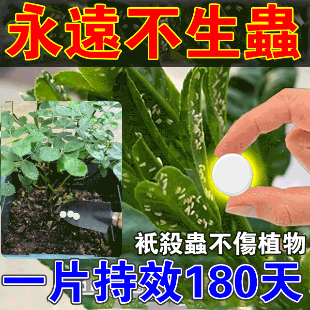 園藝防蟲片