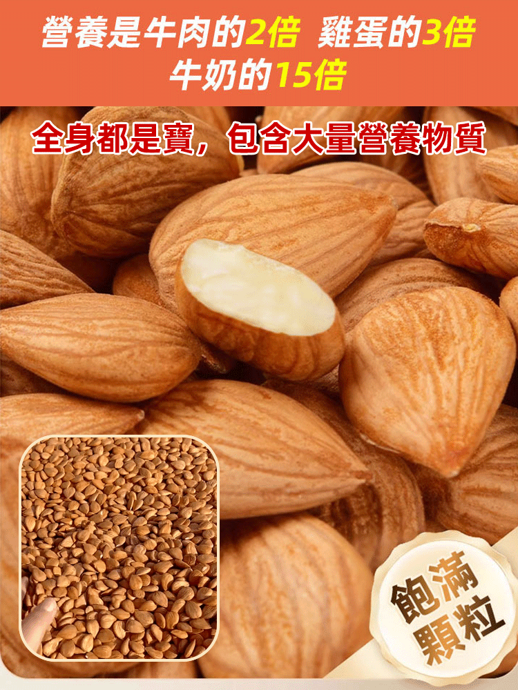 【祛痰止咳】天然大顆粒熟南杏仁