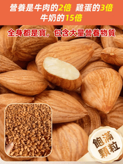 【祛痰止咳】天然大顆粒熟南杏仁