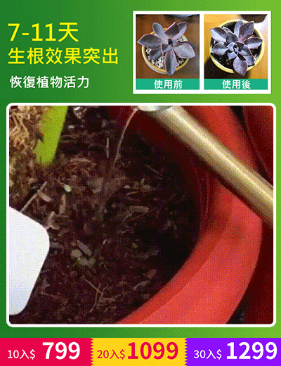 植物生長活力素【濃縮神仙水】