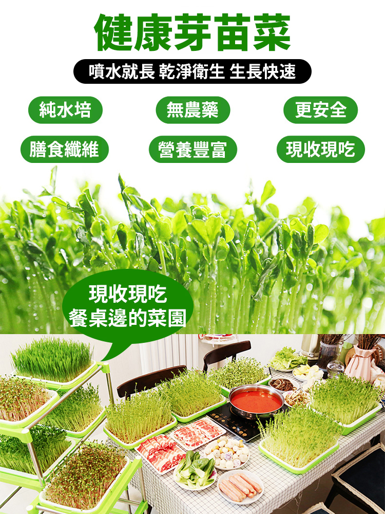 【種菜神器】水培育苗盤