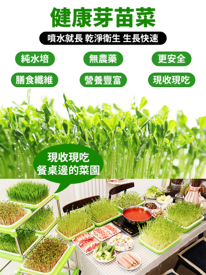 【種菜神器】水培育苗盤