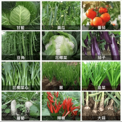 速效持久植物通用防蟲顆粒