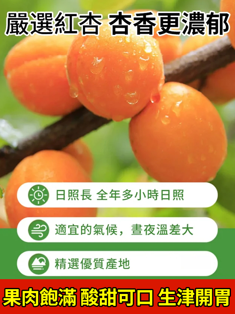 【香甜軟糯】無添加無核紅杏干