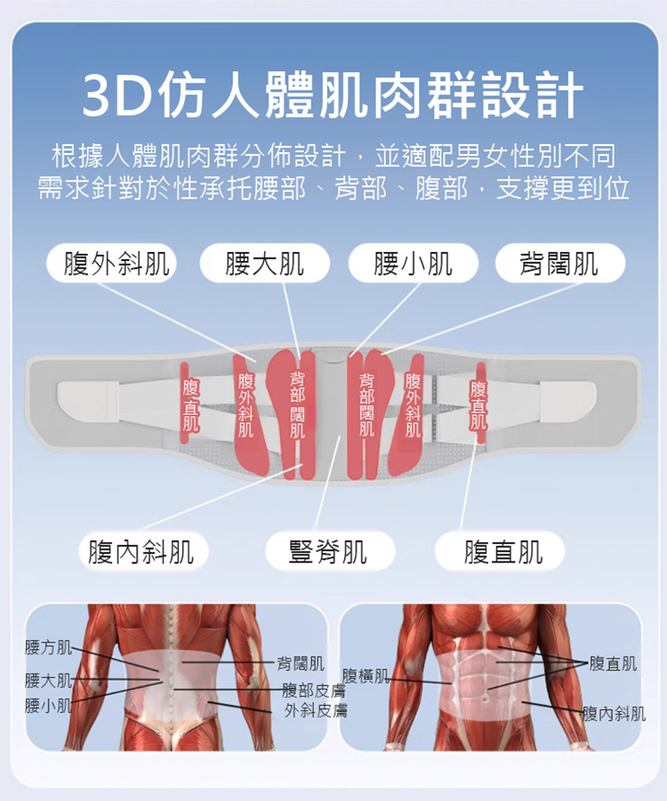 【加強型】久坐久站矯正護腰帶
