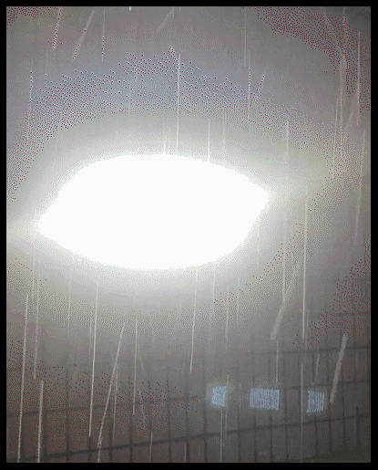 20241011_100846_109.gif