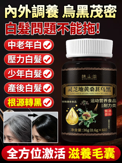 靈芝地黃桑葚烏黑片