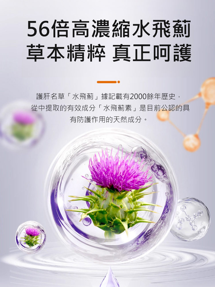 靈芝水飛薊籽油鹿肝片