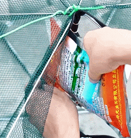 1630385464453646.gif