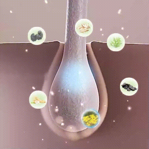 a2a674c45ed36bb3bd3bec73c097eb08.gif