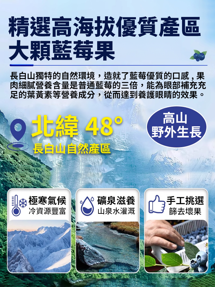 無添加天然野藍莓乾