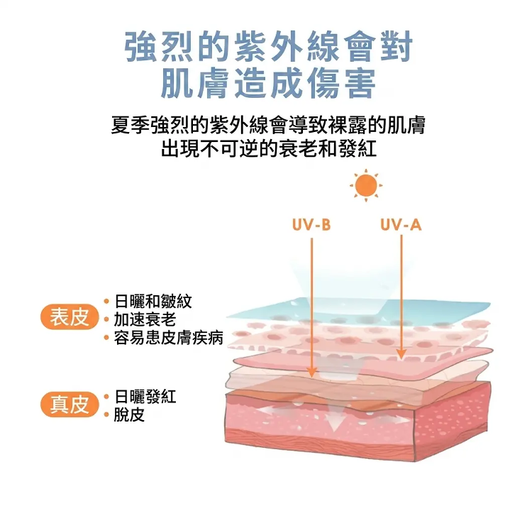 详情图_11.png