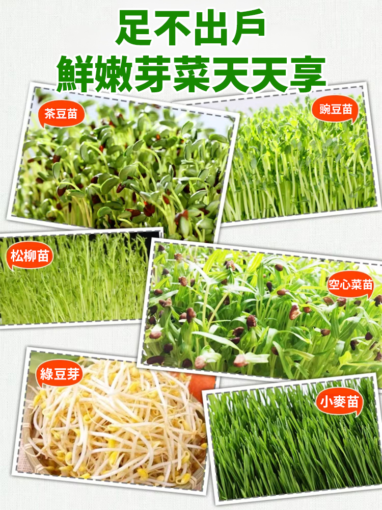 【種菜神器】水培育苗盤