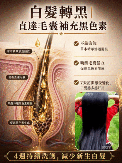 【喚醒毛囊 白髮剋星】告別染髮劑側柏葉養黑防脫洗髮水