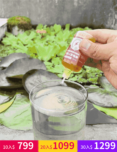 植物生長活力素【濃縮神仙水】