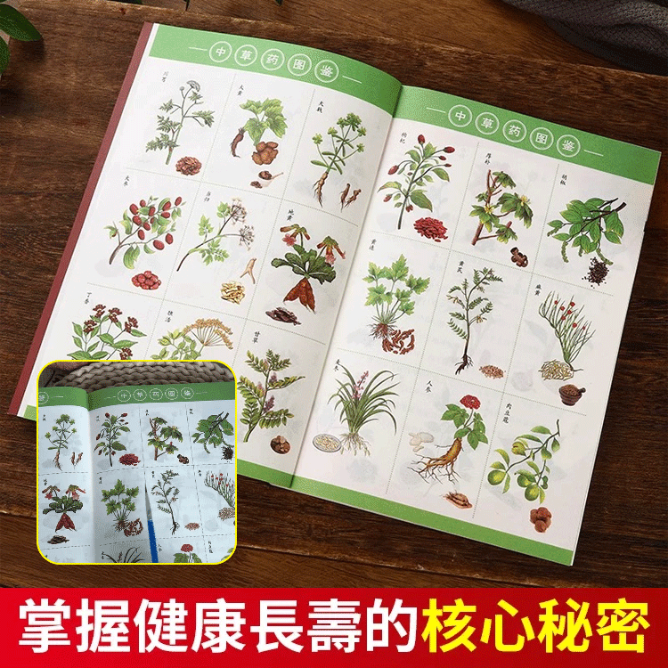 【醫學妙方】醫祖扁鵲妙方大全彩圖版