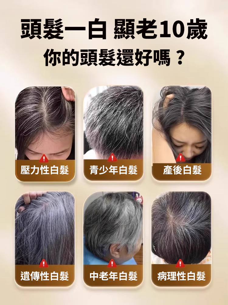 草本配方內外調理靈芝烏黑片