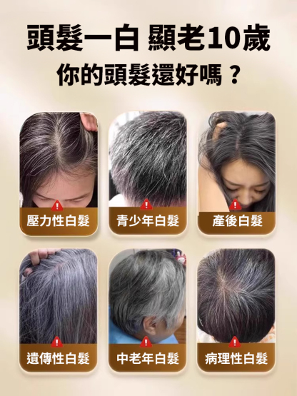 草本配方內外調理靈芝烏黑片