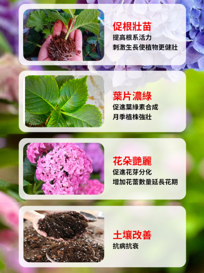 【一匙花開滿盆】快速開花粉